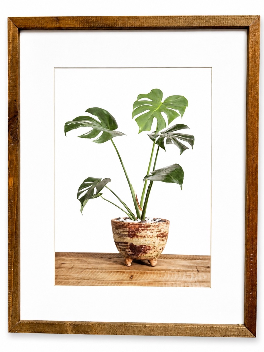 Rustic Framed Monstera Botanical Print 16x20